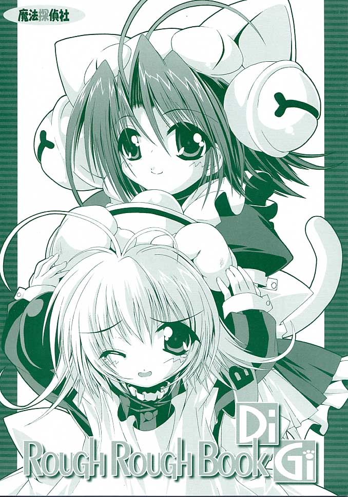 RoughRoughBook DiGi page 2 full