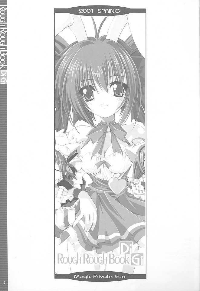 RoughRoughBook DiGi page 3 full