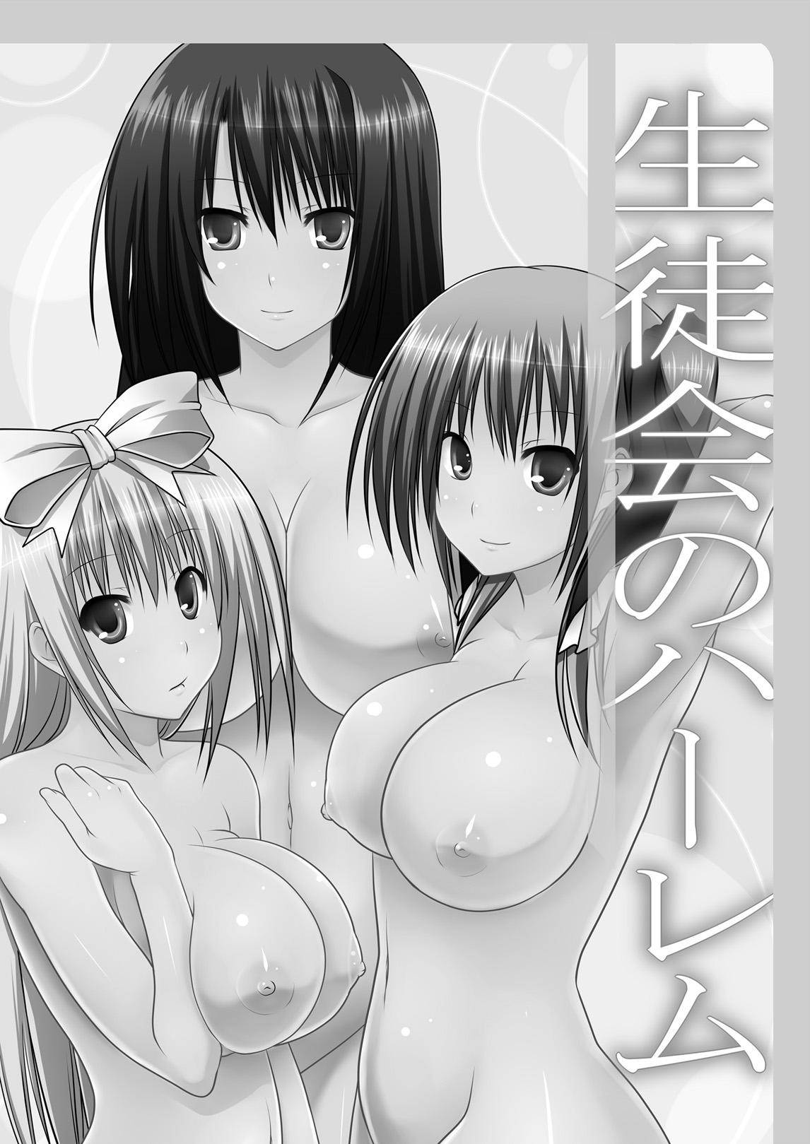Seitokai no Harem page 3 full