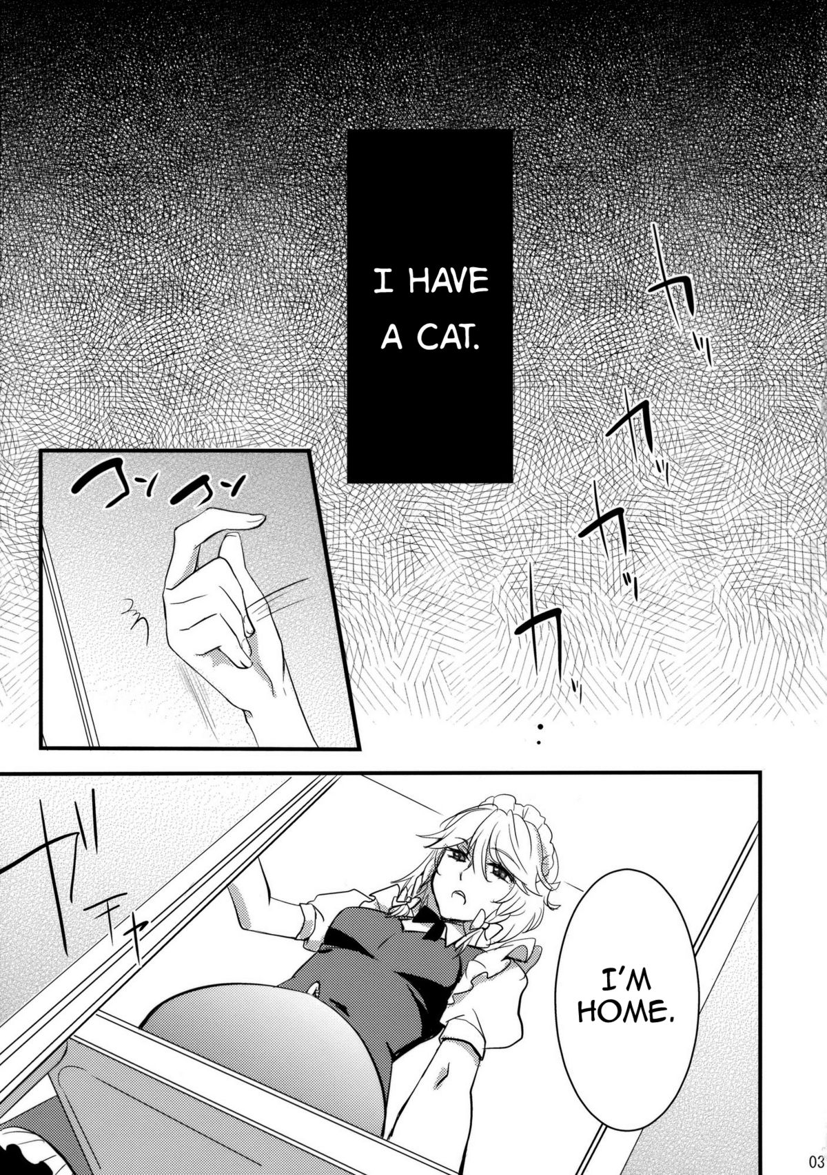 Kore Touhou de Yaru Hitsuyou Naku ne? | Is it really necessary to do this in Touhou page 3 full