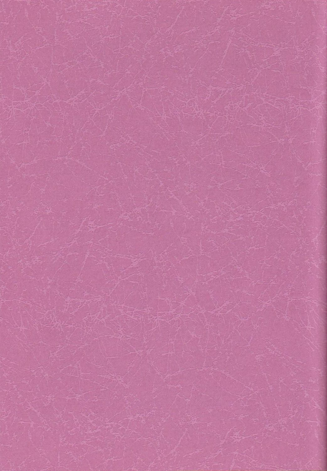 Wakasama Samurai NAN Demo-R page 2 full