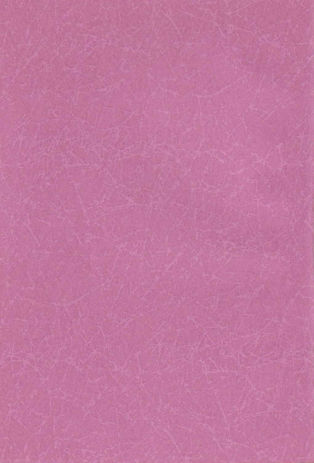 Wakasama Samurai NAN Demo-R page 3 full