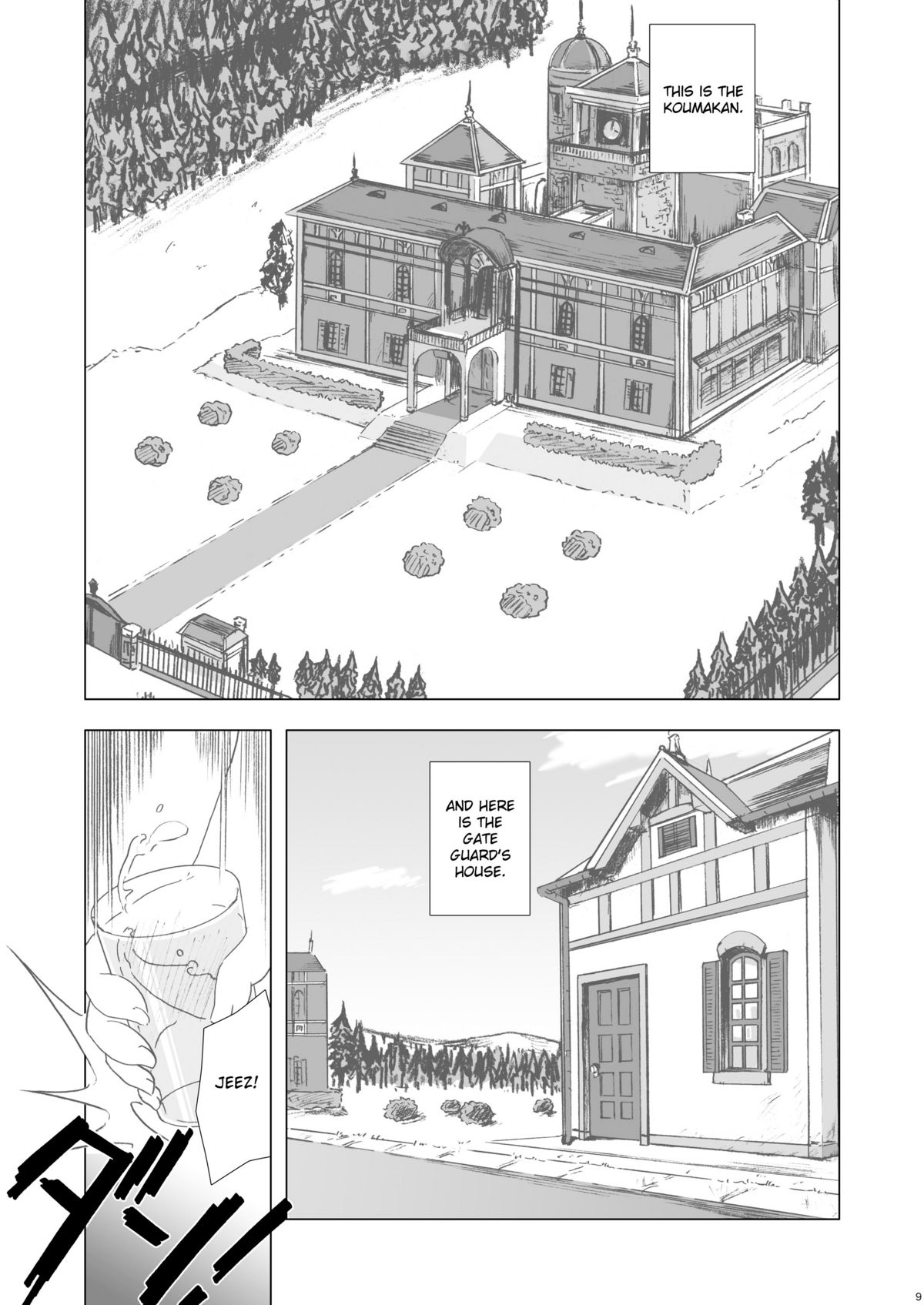 Cyclone Memory page 9 full