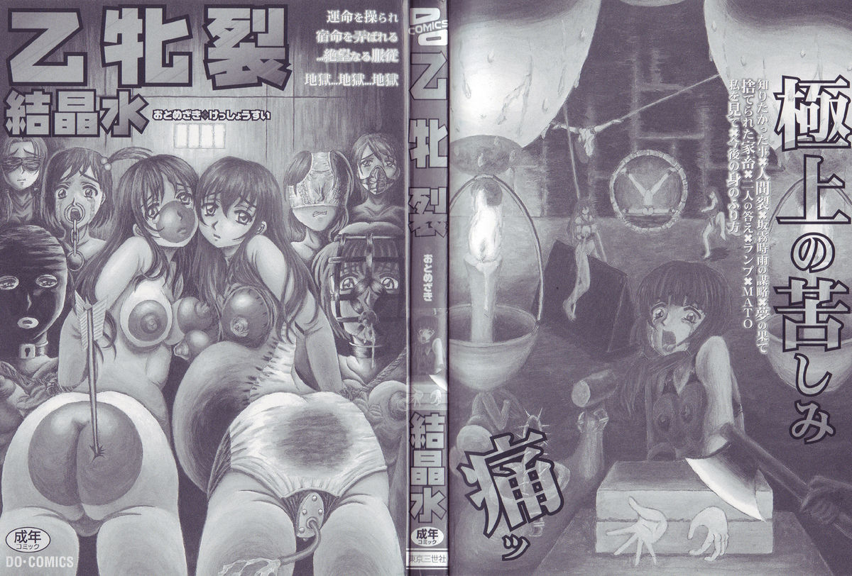 Otome Zaki page 2 full