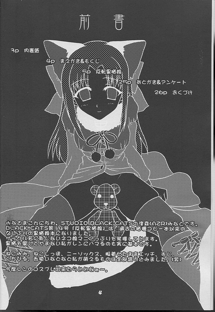 Minato Black Cats 14 Hanten Kuroneko Musume page 3 full