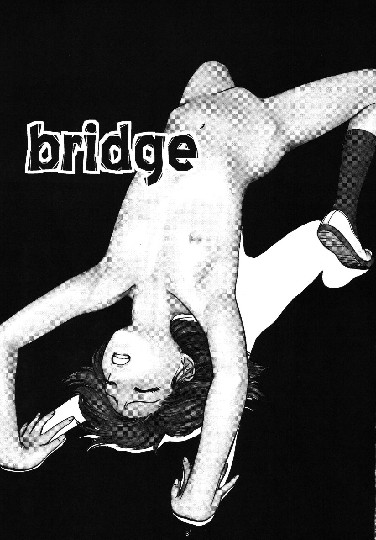 Bridge page 3 full