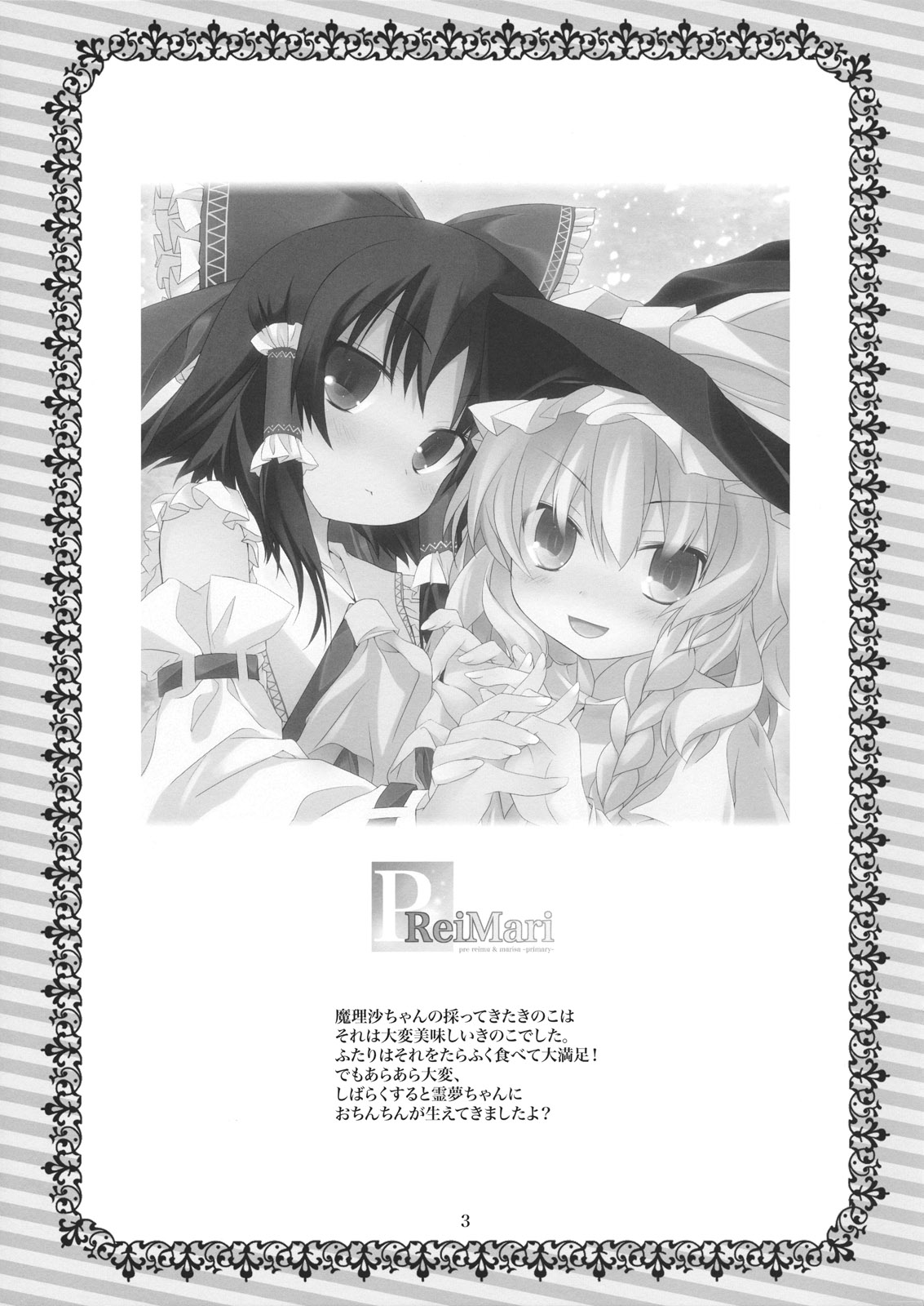 PReiMari page 3 full