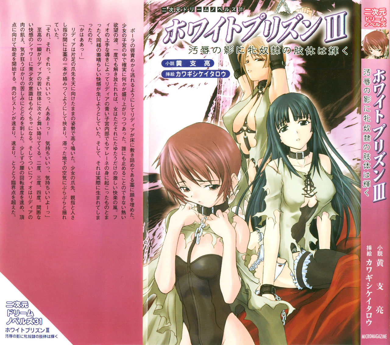 White Prison III - Ojoku no Kage ni Mesu Dorei no Shitai wa Kagayaku page 2 full