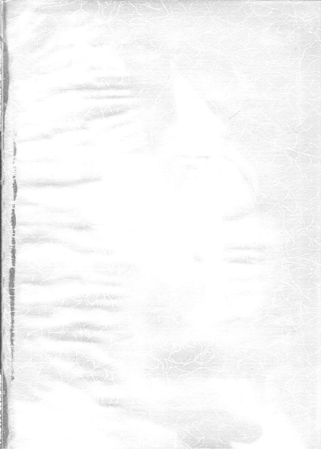 Amigasa Nan Demo-R page 3 full