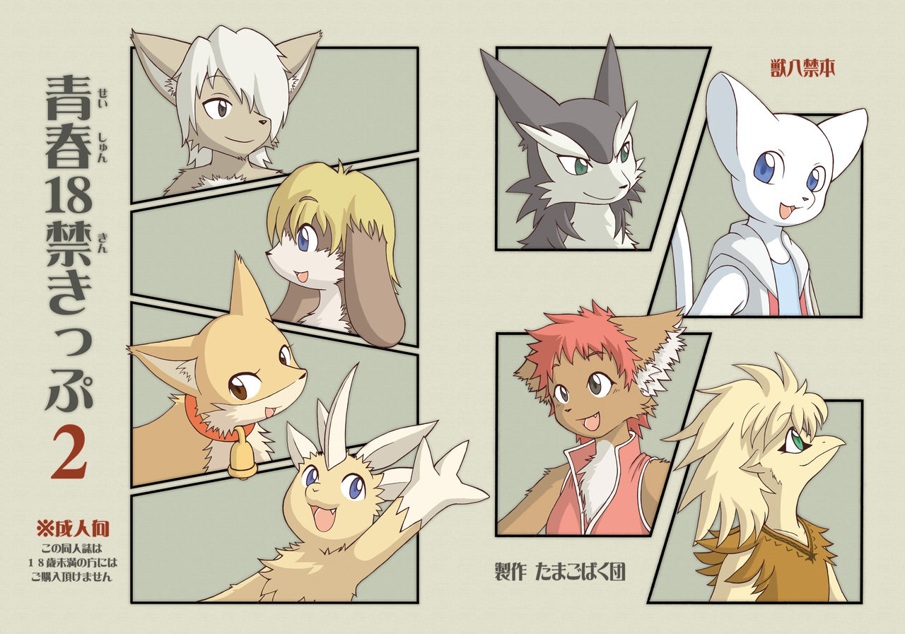 Seishun 18kin Kippu 2 page 1 full