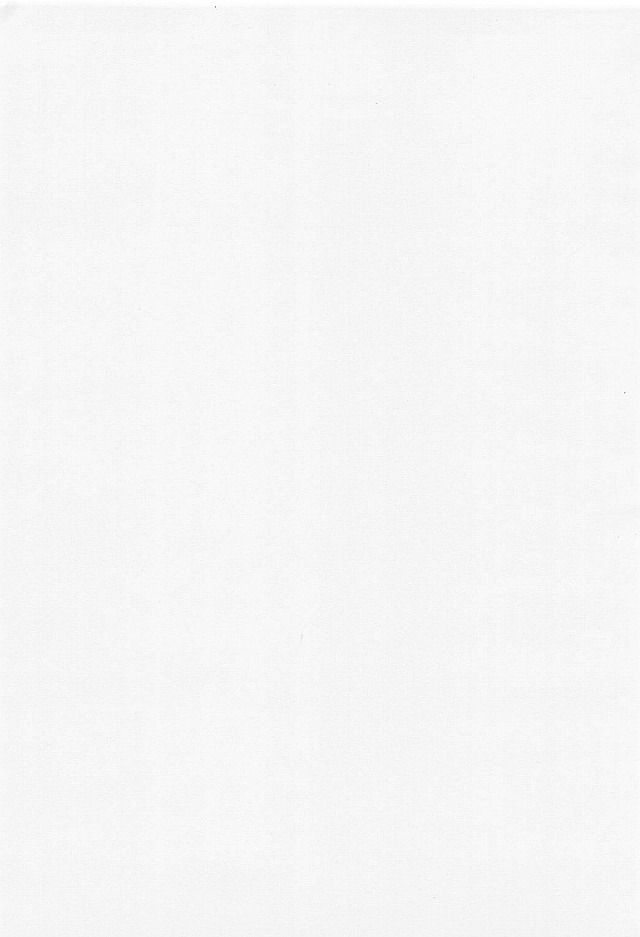 Hitotsu Han page 4 full