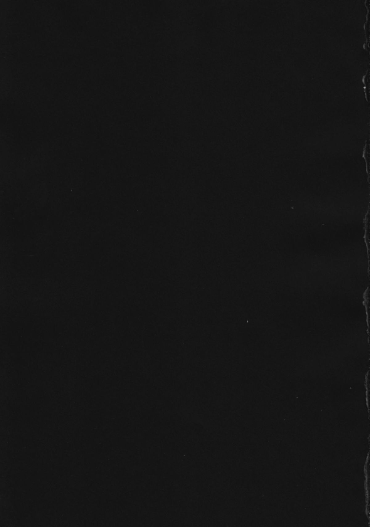 SEXY PANIC ~Neko to Saru no Love Fight page 2 full