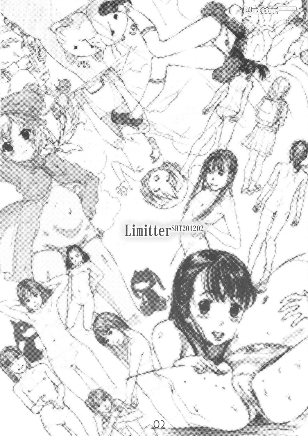 Limitter SHT202102 page 2 full