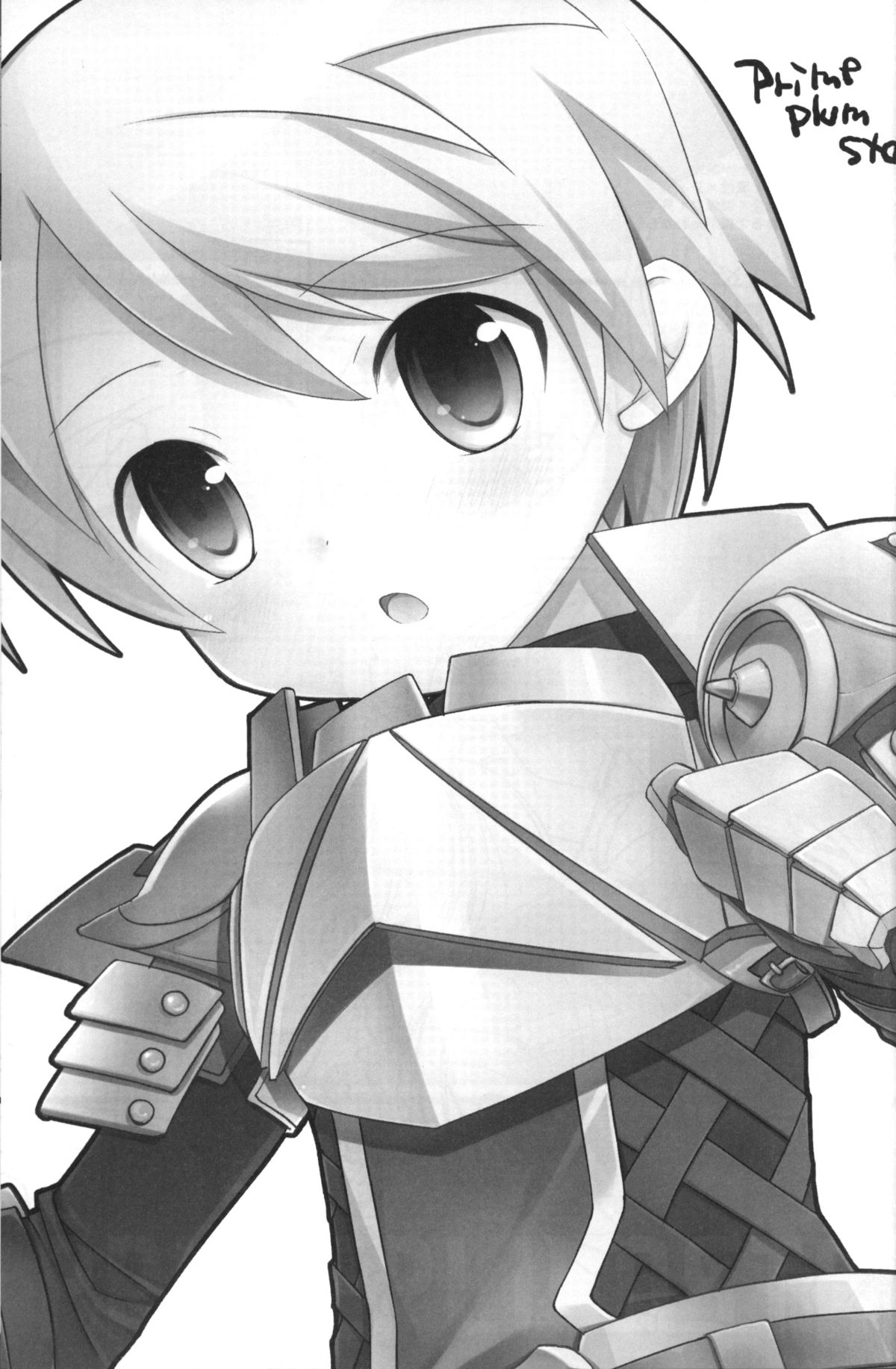 PRIME PLUMSTAR page 2 full