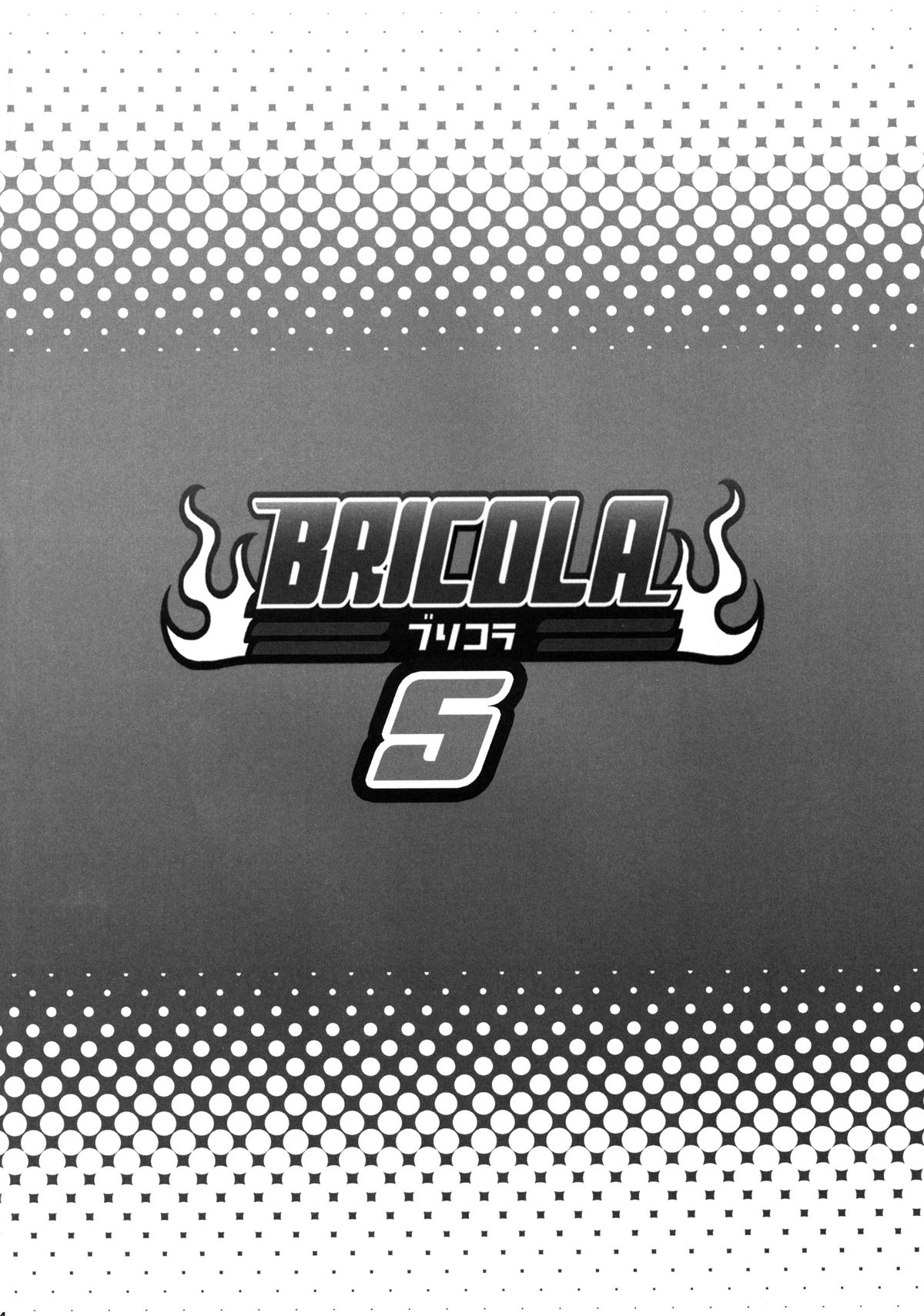 BRICOLA 5 page 3 full