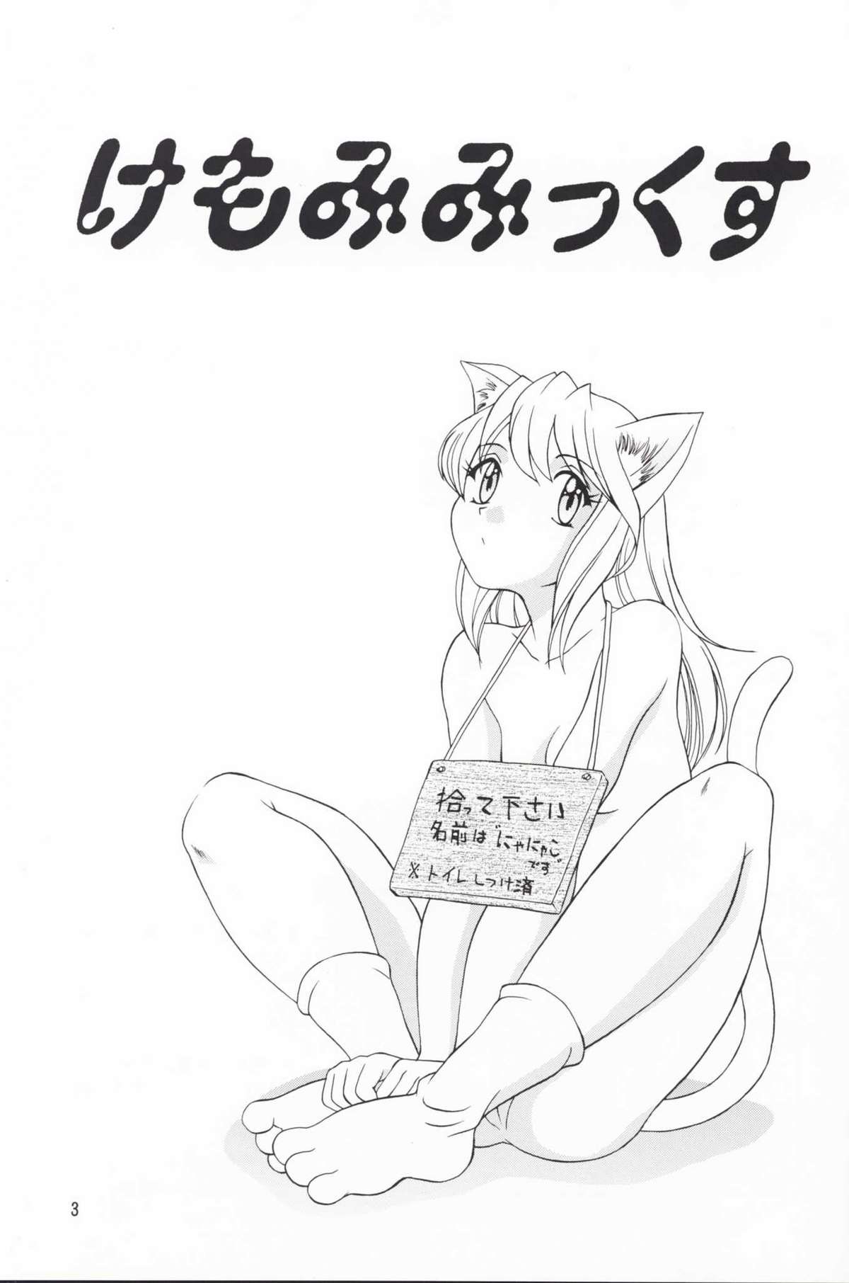 Plus-Y Vol. 25 Kemomimix page 2 full