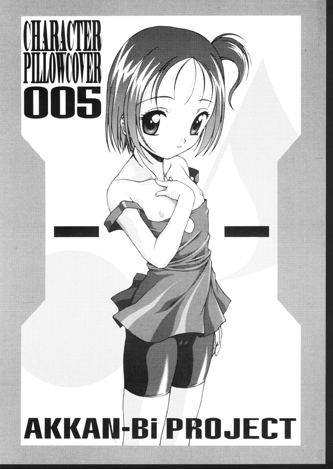 - CHARACTER PILLOWCOVER 005 page 2 full