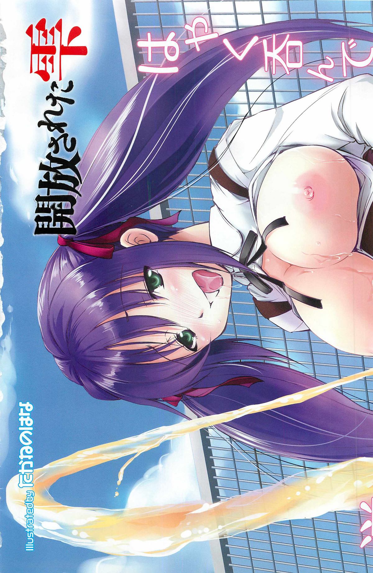 COMIC Megamilk 2011-05 Vol. 11 page 6 full