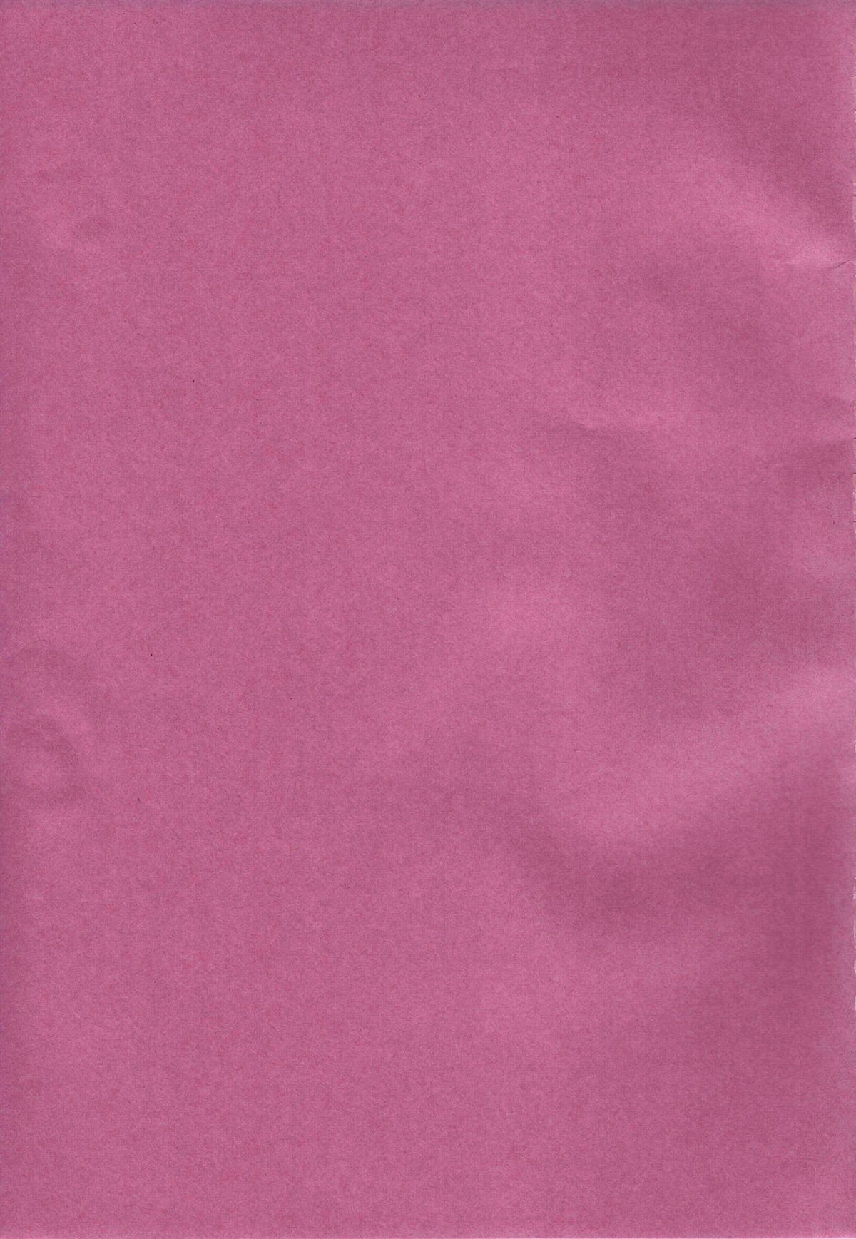 Check Ero Mixed  =LWB= page 2 full