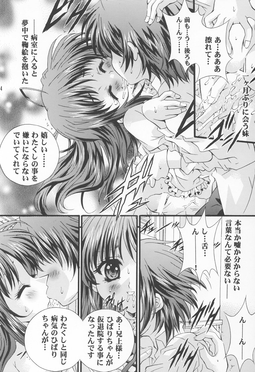 Twelve Hearts  Chuukan ~Eien no Korashime~ page 3 full