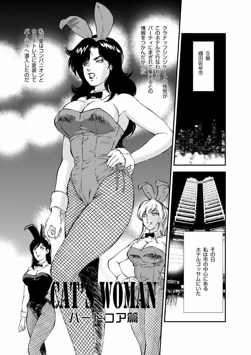 CAT’S WOMAN HARD CORE Hen page 6 full