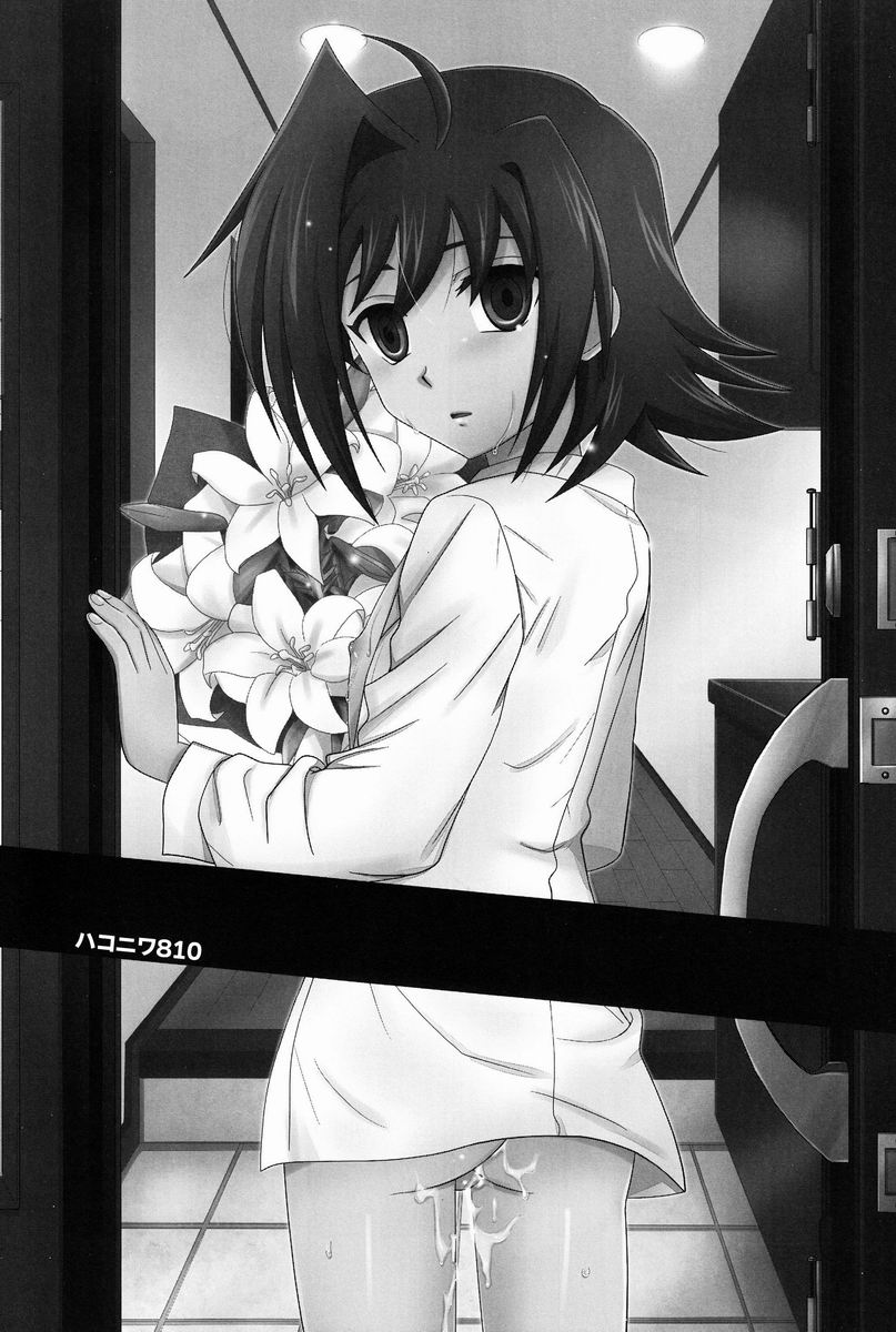 Hakoniwa 810 page 2 full