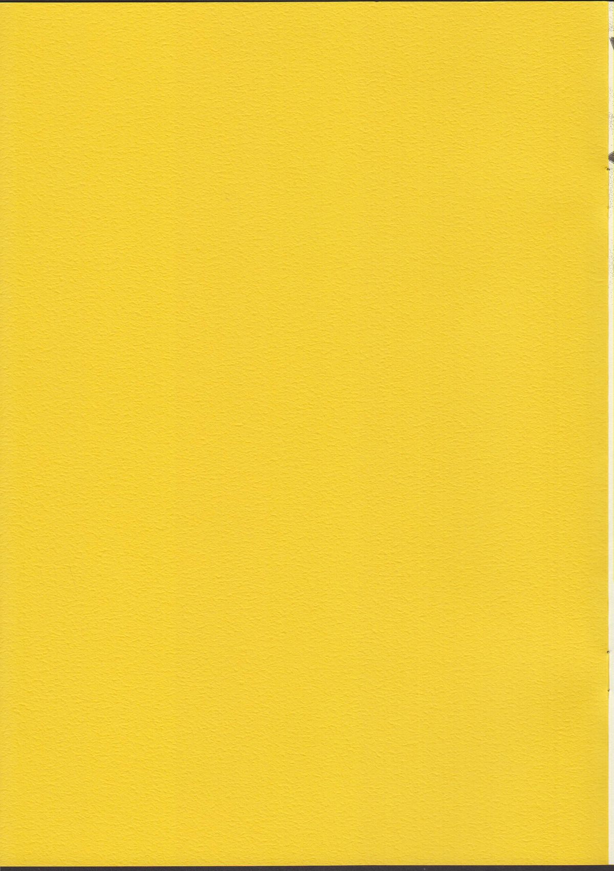 02.1 Maid Fit page 2 full