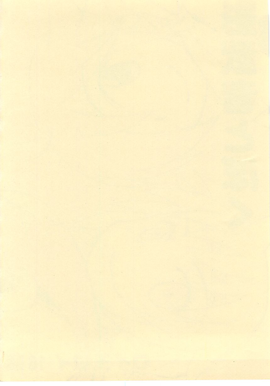 影武者と僕（幻想水滸伝Ⅴロイ王子） page 2 full