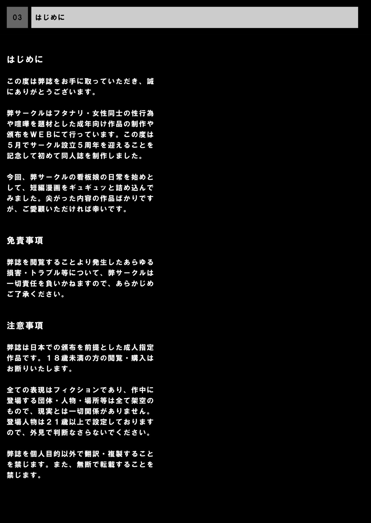 REMORA WORKS 2012 page 3 full