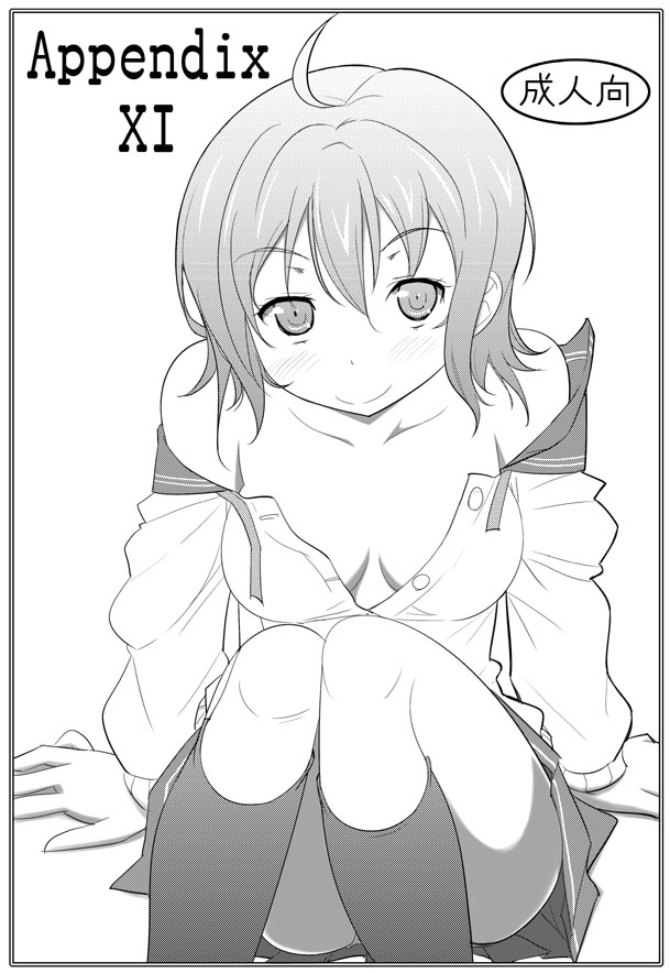 Appendix XI page 1 full