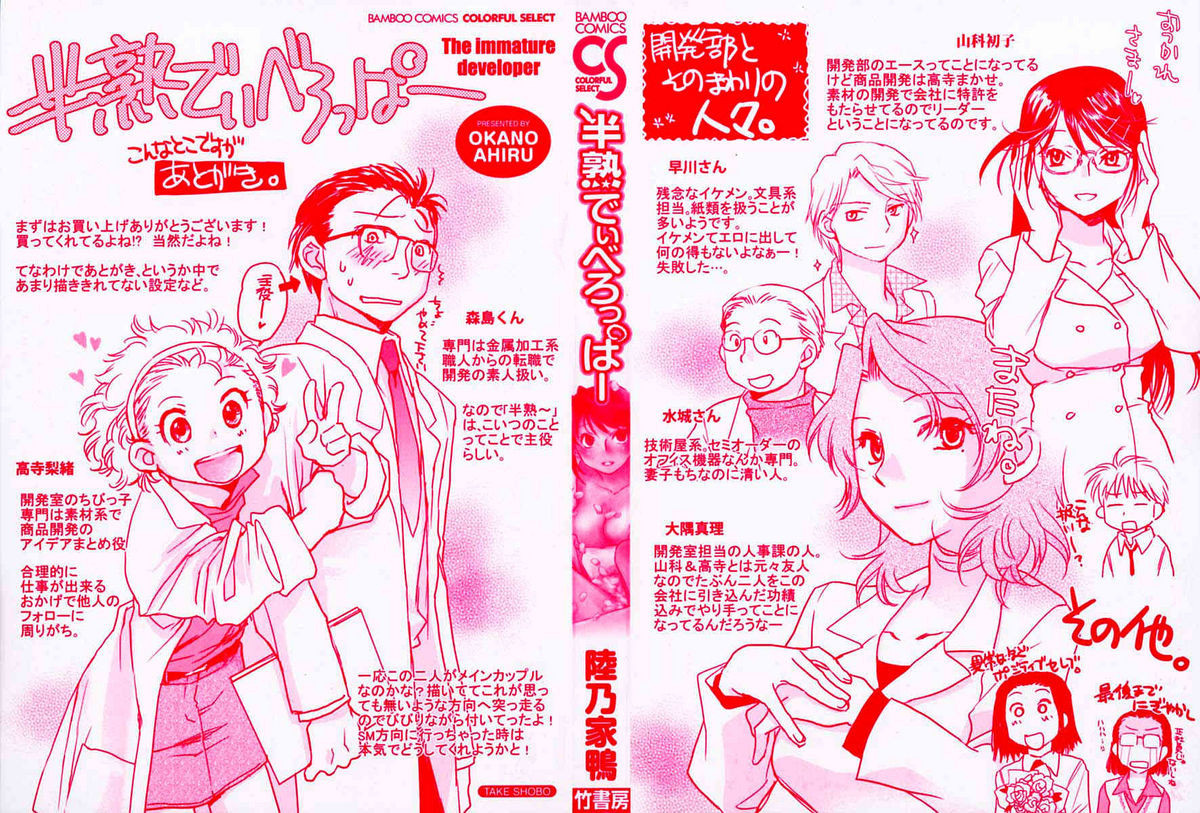 Hanjuku Developer - The immature developer page 3 full