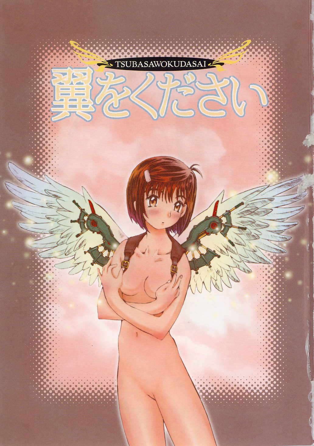 Otome Kaihatsu page 6 full