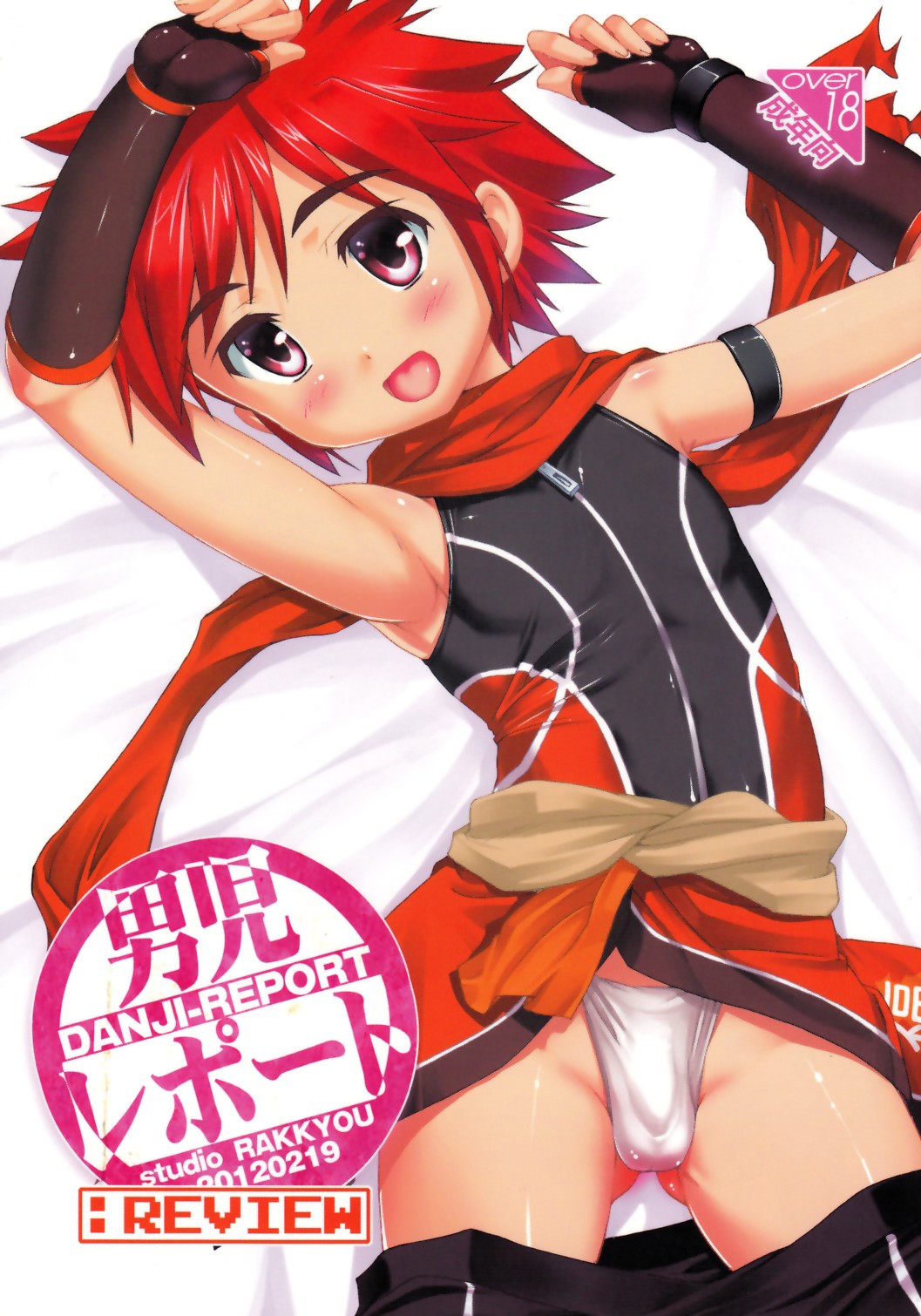 Danji Report: REVIEW page 1 full