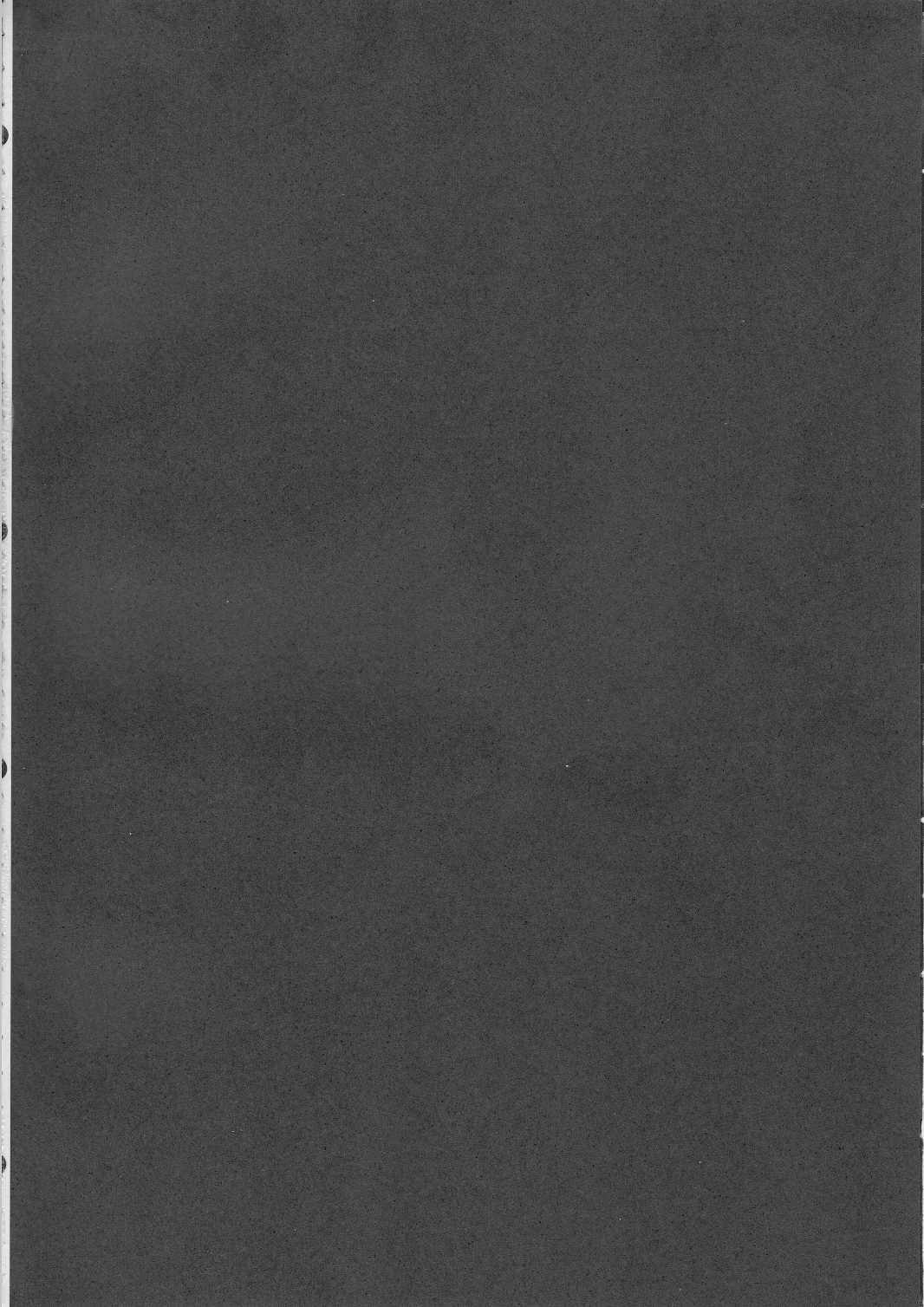 8-gatsu 12-nichi hare Kyou wa Sex o Shimashita page 3 full