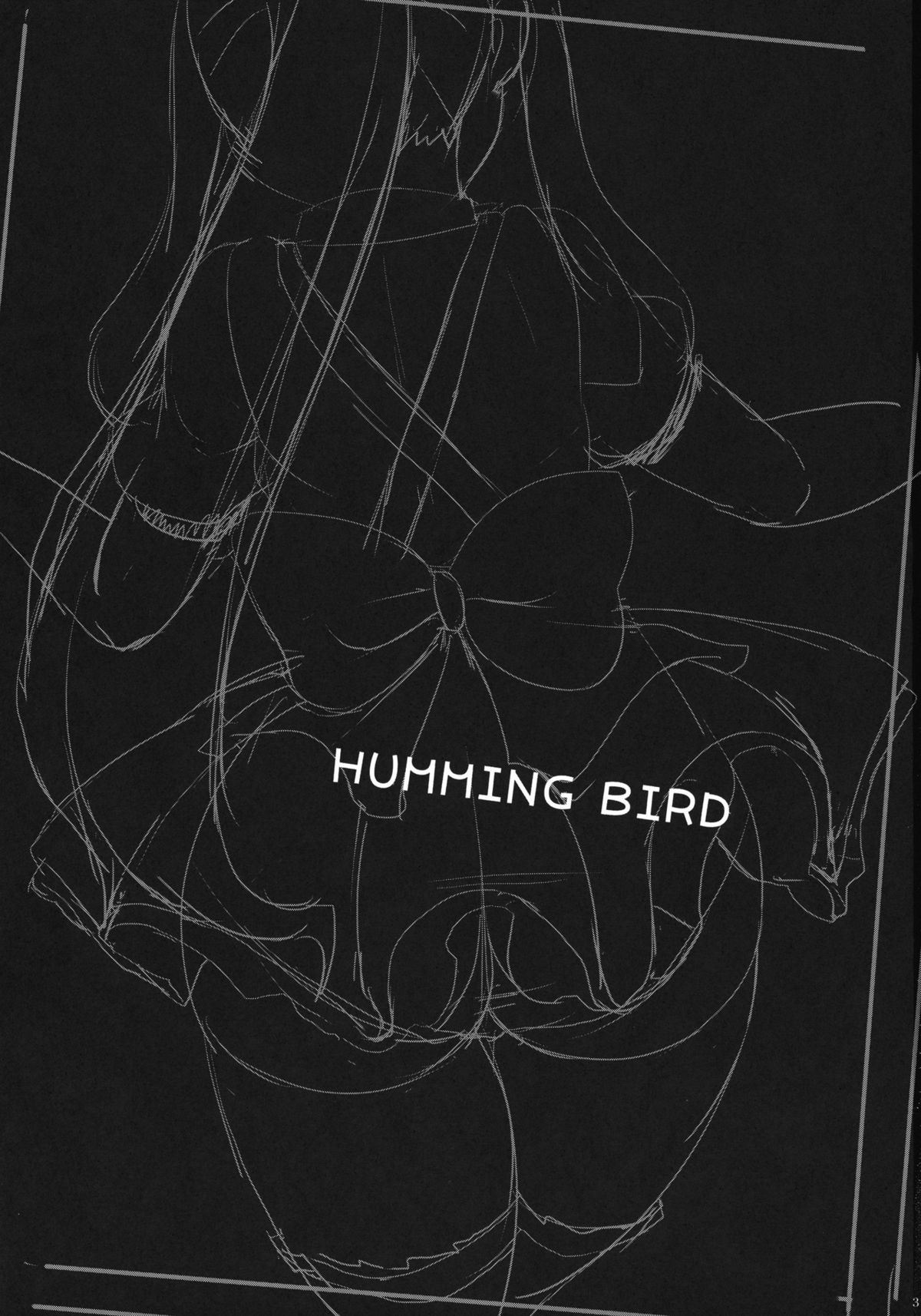 HUMMING BIRD page 3 full