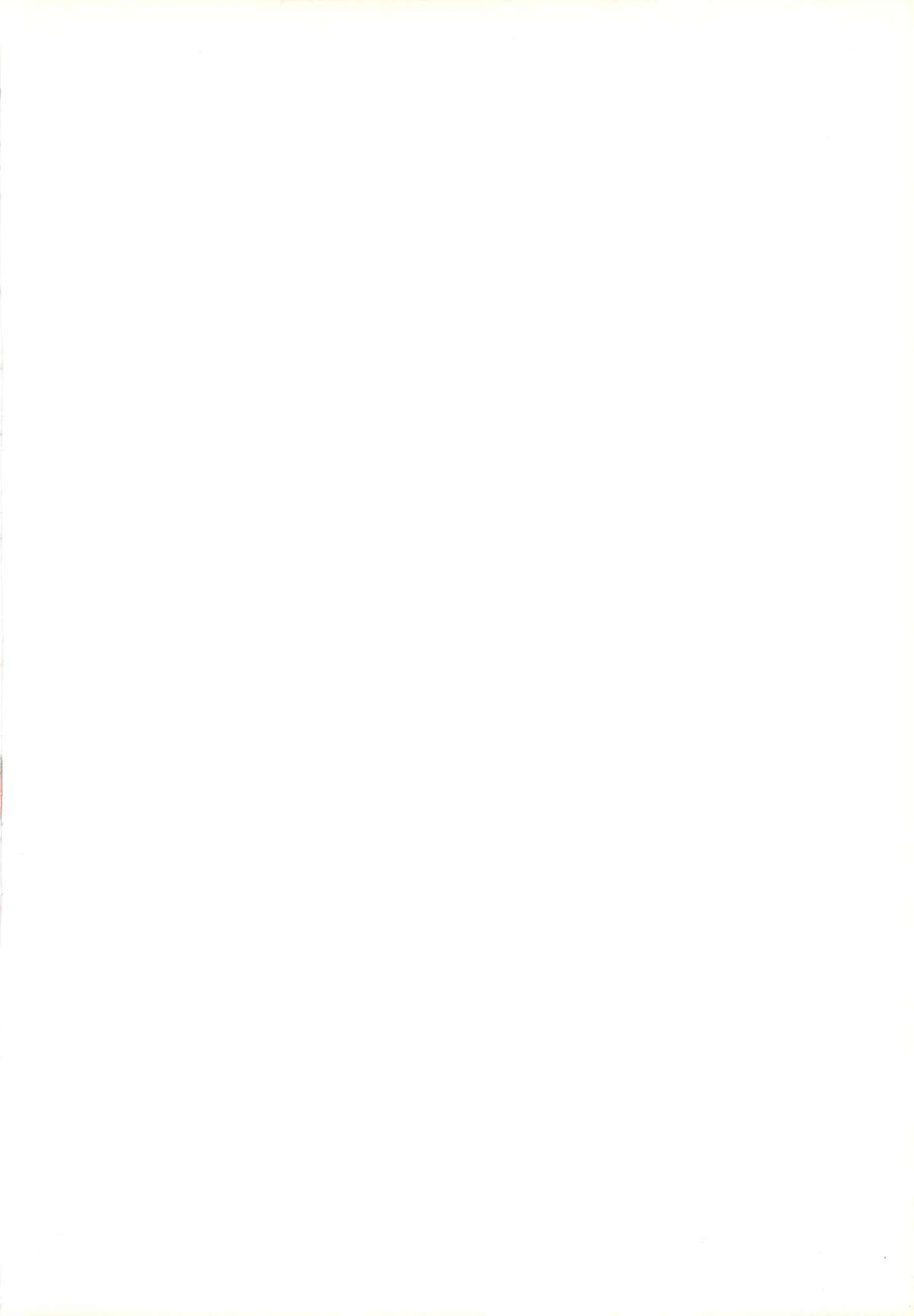 TIMTIM MACHINE Nanoha Concept! 2 page 2 full