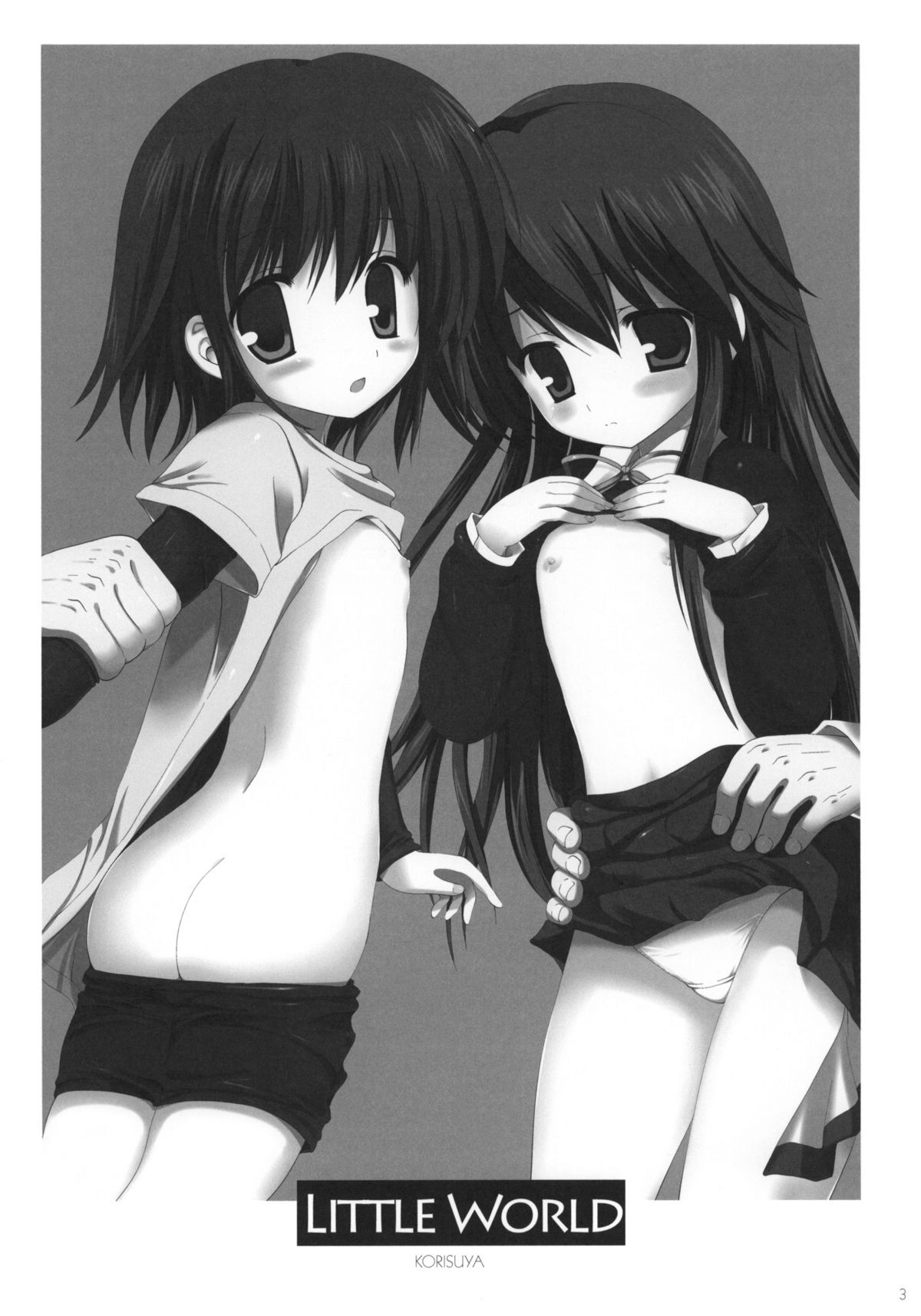Little World -Copy-bon Sairokushuu- page 2 full