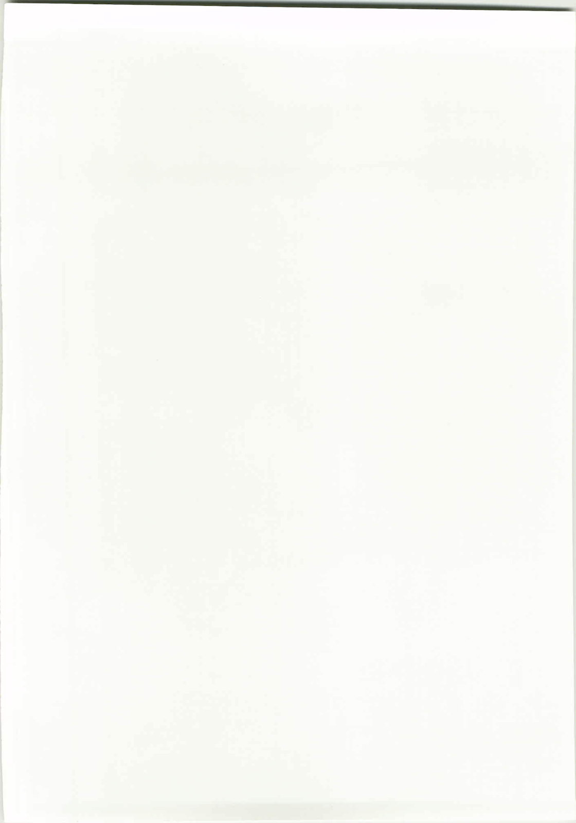 Marisa to Kinoko to Kichiku na Miko page 2 full