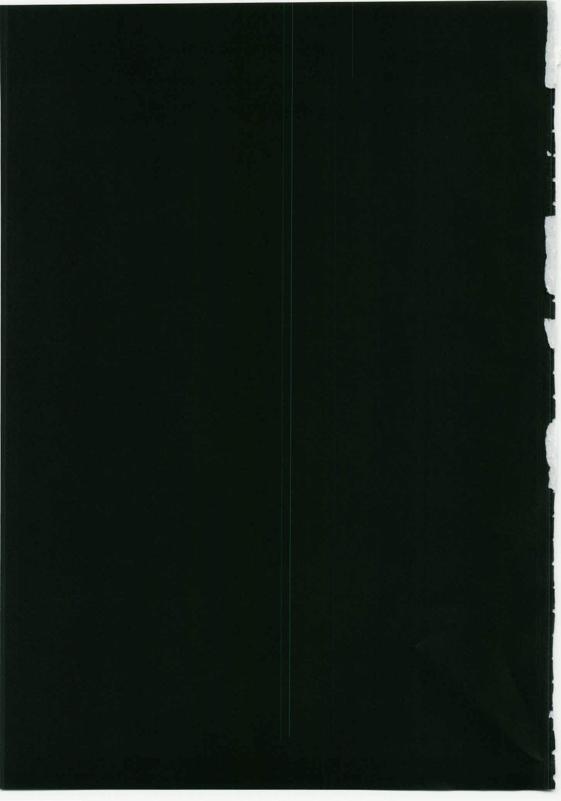 Marisa to Kinoko to Kichiku na Miko page 3 full