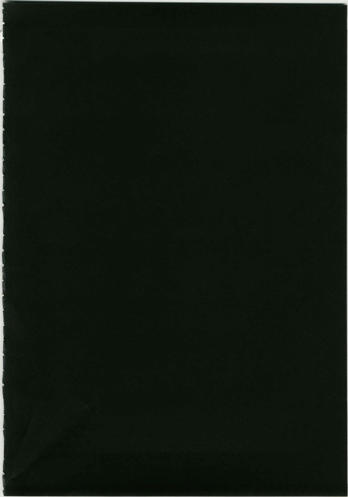 Marisa to Kinoko to Kichiku na Miko page 4 full