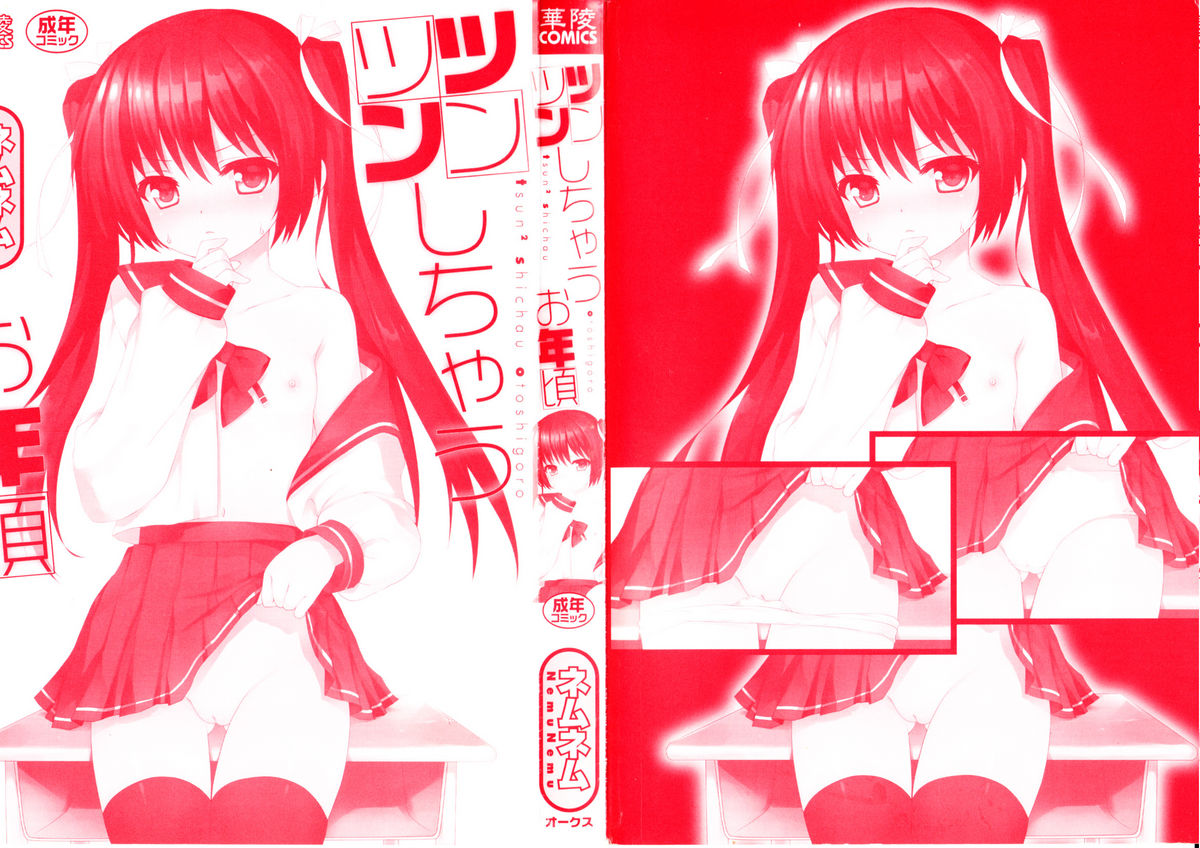 Tsuntsun Shichau Otoshigoro page 2 full