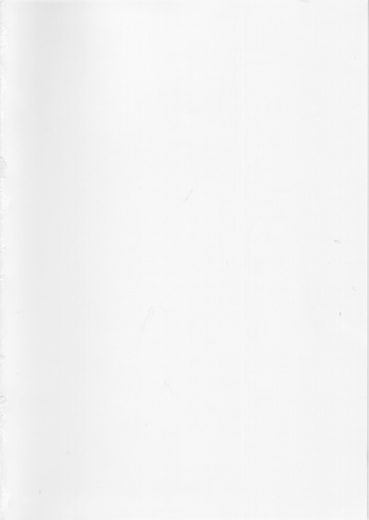 CERAMIC HEART page 2 full