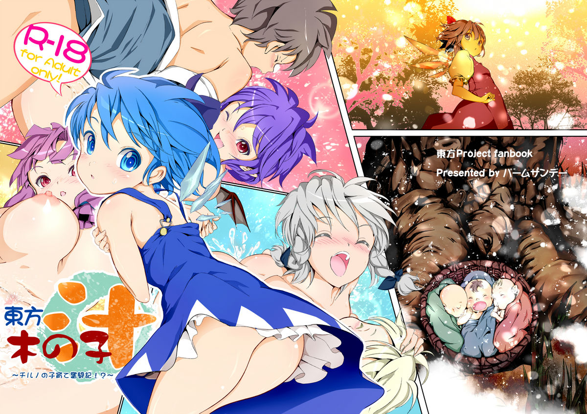 Touhou Kinoko-jiru ~ Cirno no Kosodate Funtouki!? ~ page 1 full