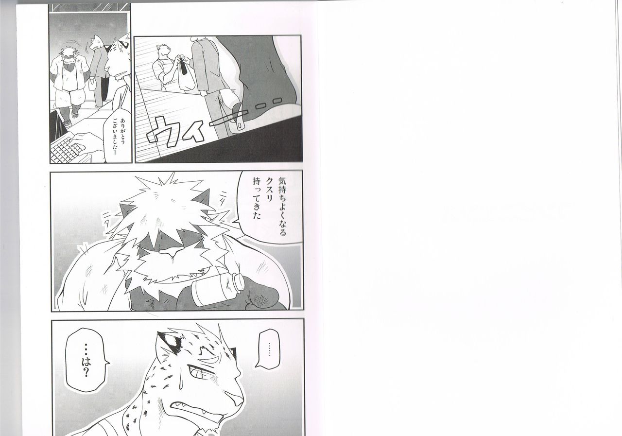 Convenience page 4 full