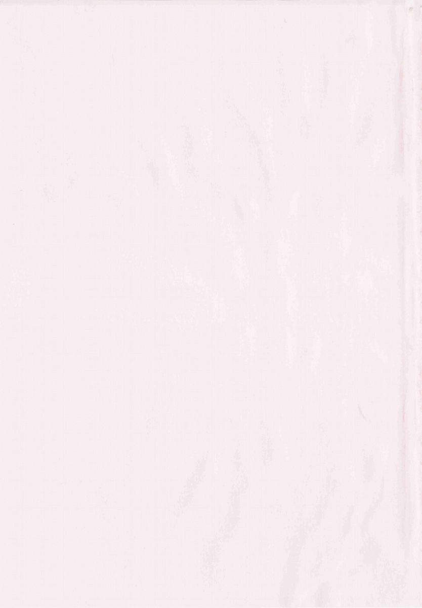 Shihon Shugi no Seishin - Der Geist des Kapitarismus page 5 full