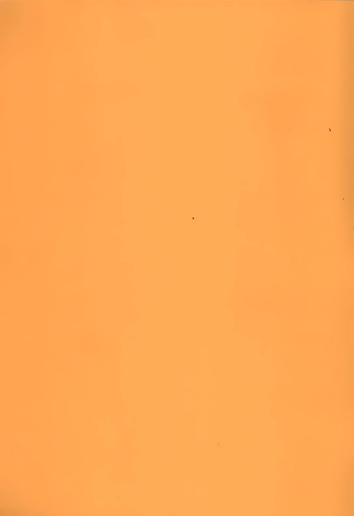 Paraiso Girl page 2 full