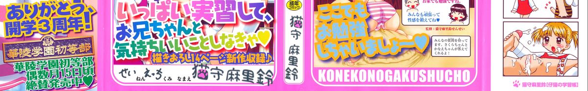 Koneko no Gakushuchou page 3 full