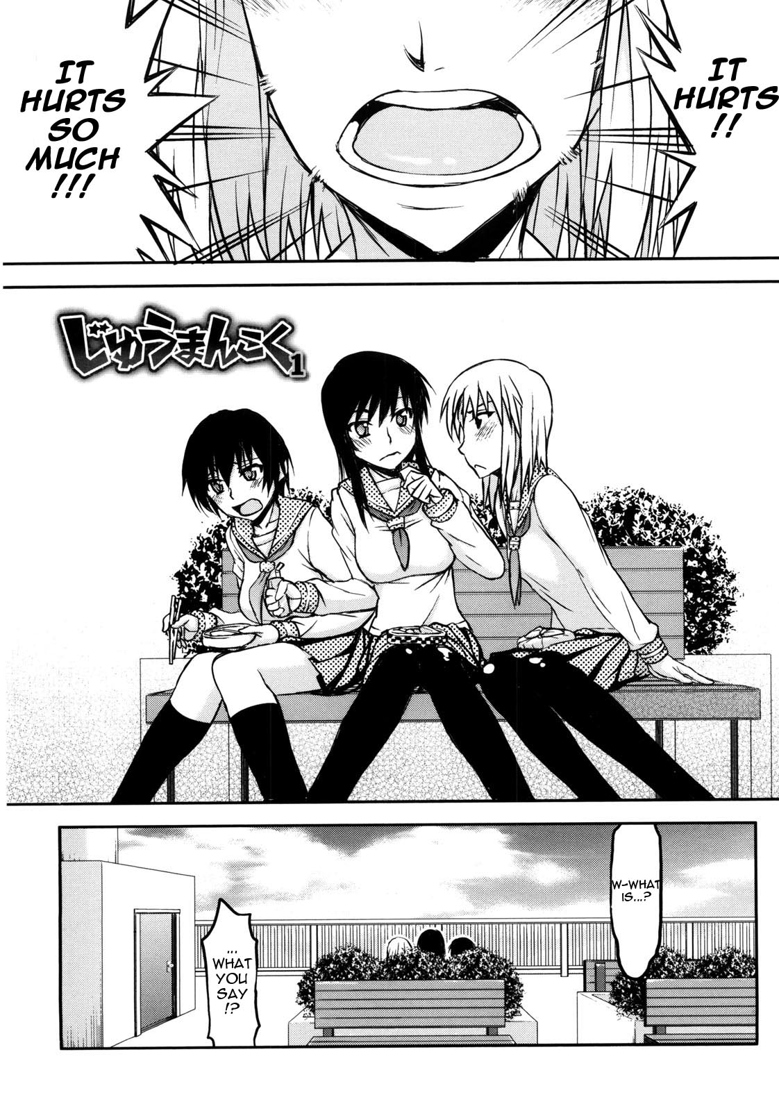 Netorare Kanojo Ch. 1-3 page 2 full
