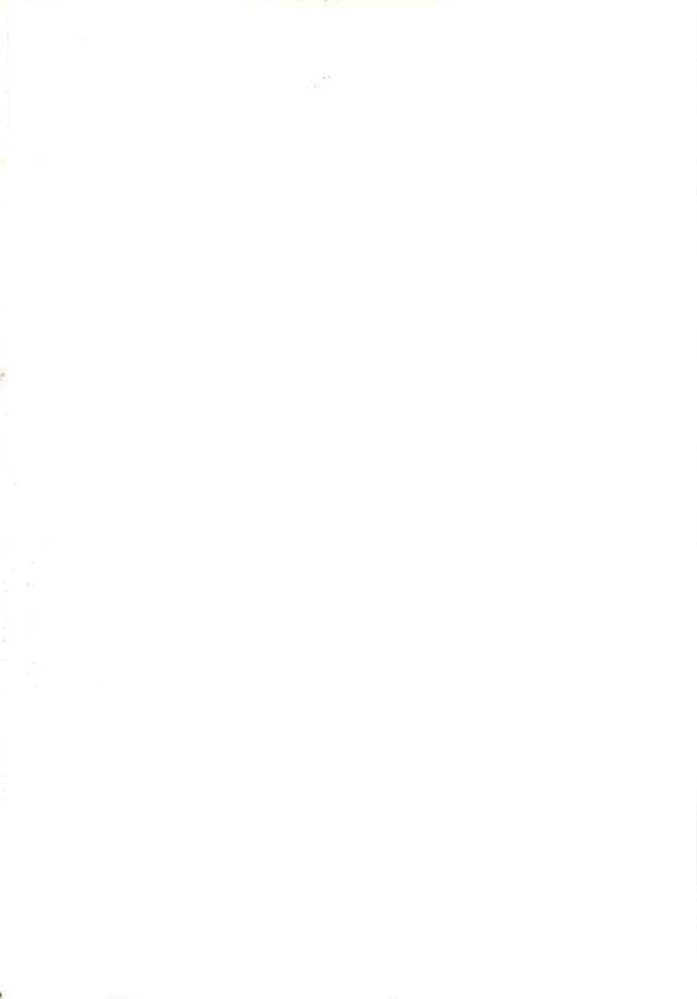 Yamato Nadeshiko page 2 full