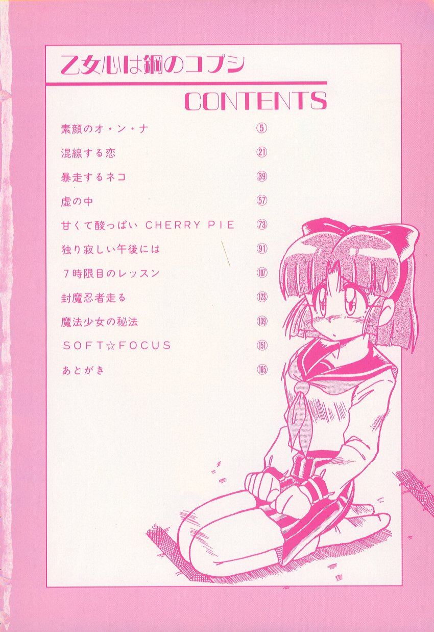 Otomegokoro wa Hagane no Kobushi page 5 full